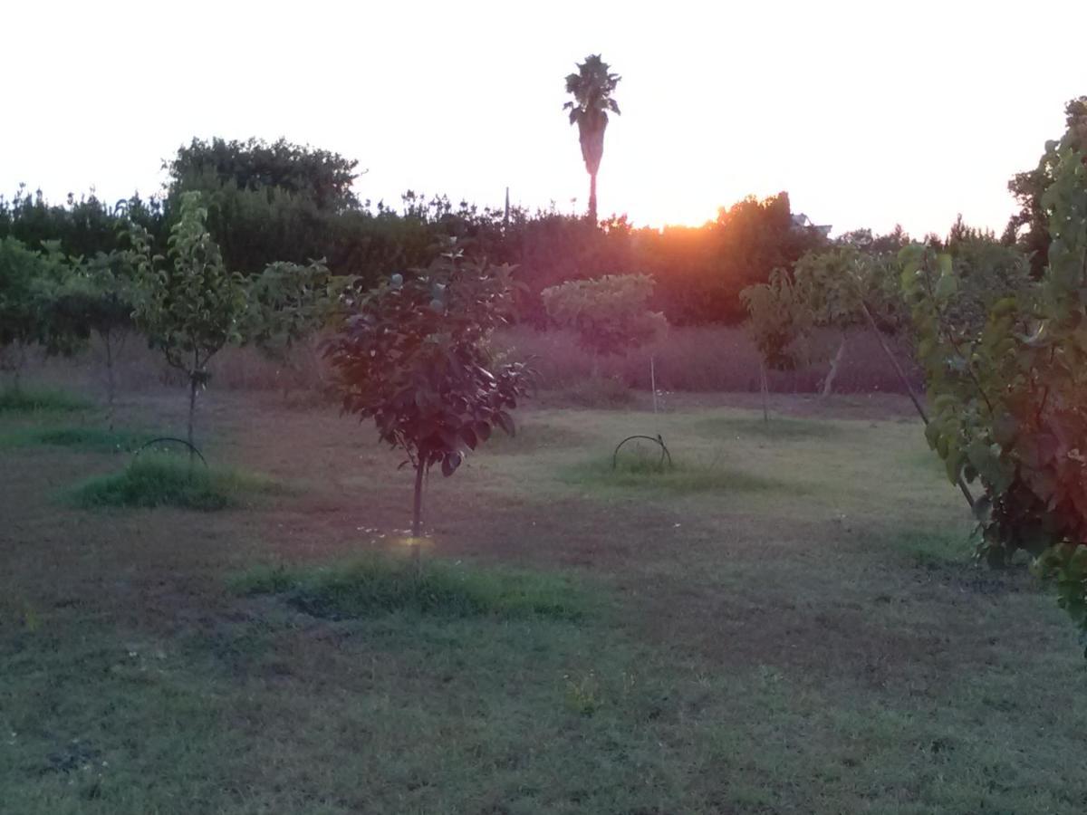 Casetta Vacanza In Campagna Aradeo Exteriör bild