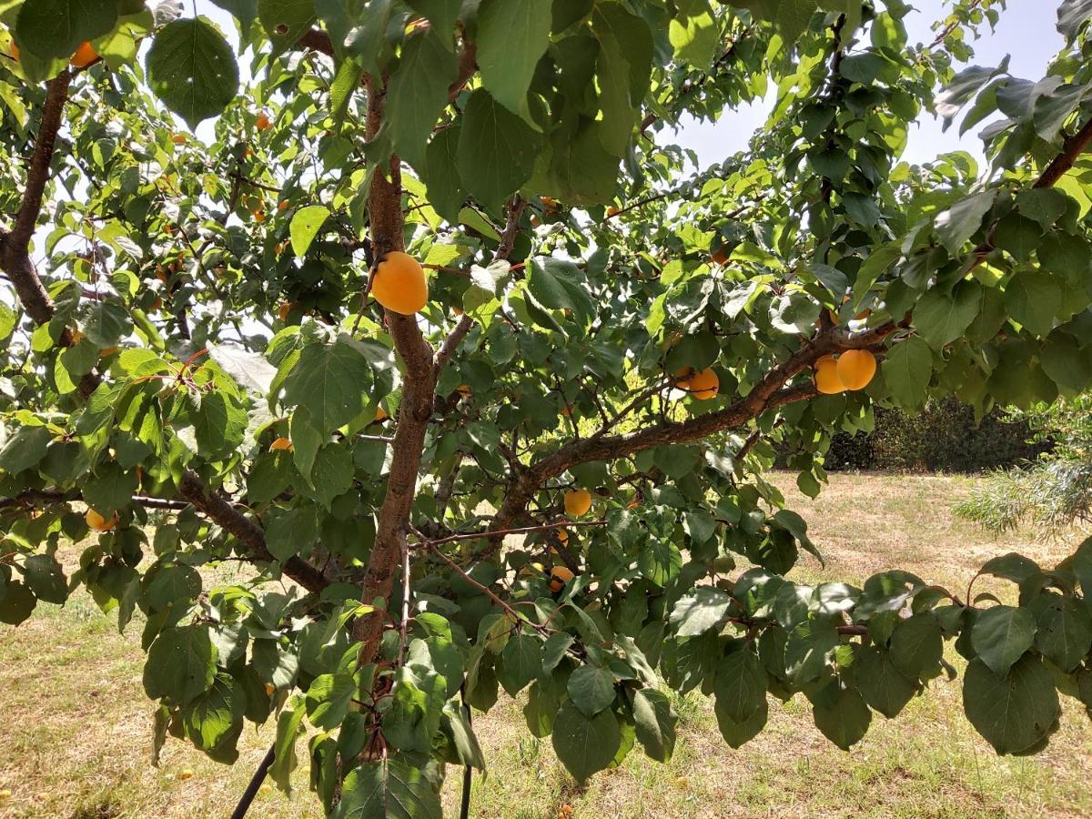 Casetta Vacanza In Campagna Aradeo Exteriör bild