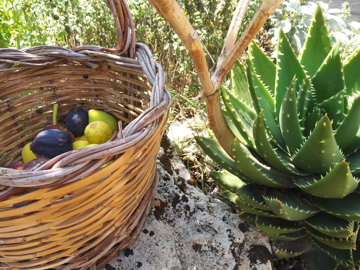 Casetta Vacanza In Campagna Aradeo Exteriör bild