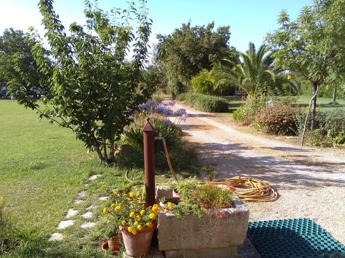 Casetta Vacanza In Campagna Aradeo Exteriör bild